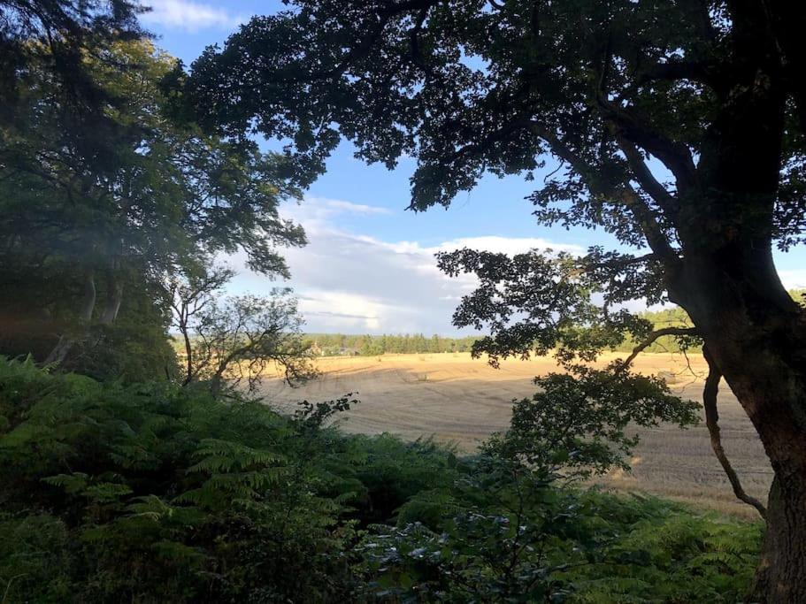 Glenburn, Private Studio Accommodation In Fochabers Bagian luar foto